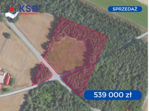 Atrakcyjna działka budowlano-rolna z WZ - obok Bałtowa - 1,03ha