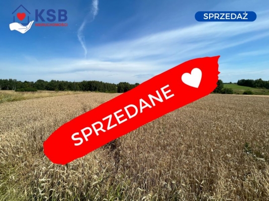 Duża działka rolna w przepięknej okolicy, blisko miasta pod pole lub sad - 12500m2